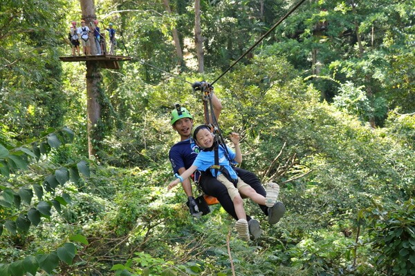 Zipline и верёвочный парк Микли